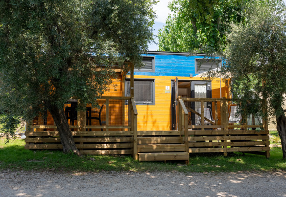 Tiny House met houten terras en blauw dak, omringd door bomen en groen in een rustige omgeving.