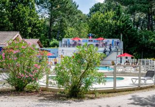 Area piscina all'aperto con lettini, cespugli fioriti e ombrelloni al Flower Camping La Canadienne, Francia.