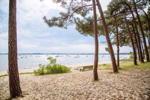 Sandstrand mit Pinienbäumen und Blick auf Boote am Wasser nahe Arès in Nouvelle-Aquitaine, Frankreich.