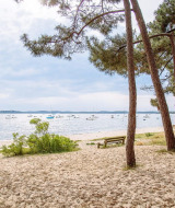 Zandstrand met dennenbomen en uitzicht op rustige bootjes nabij Arès, Nouvelle-Aquitaine, Frankrijk.