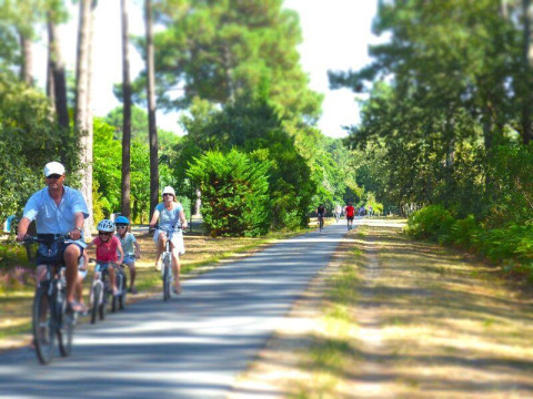 Een familie fietst langs een zonnig bospad aan Flower Camping La Canadienne in Nouvelle-Aquitaine, Frankrijk.