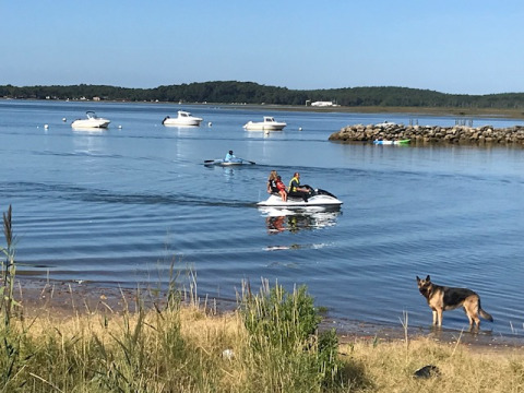 Boote, ein Jetski und ein Hund am Wasser nahe Arès, Nouvelle-Aquitaine, Frankreich im Sommer.