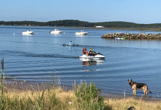 Barche, una moto d’acqua e un cane sulla riva vicino ad Arès, Nouvelle-Aquitaine, Francia in estate.