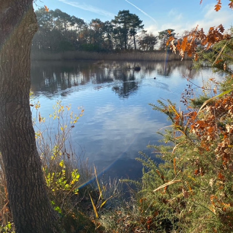 Peaceful lake near Arès, Nouvelle-Aquitaine, France, with autumn trees and blue sky reflected in the water.