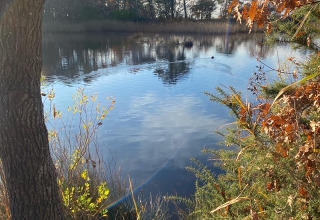 Peaceful lake near Arès, Nouvelle-Aquitaine, France, with autumn trees and blue sky reflected in the water.