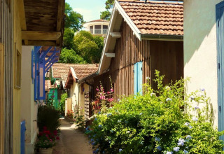 Stretto vicolo con case colorate e fiori rigogliosi ad Arès, Nouvelle-Aquitaine, Francia, in una giornata di sole.