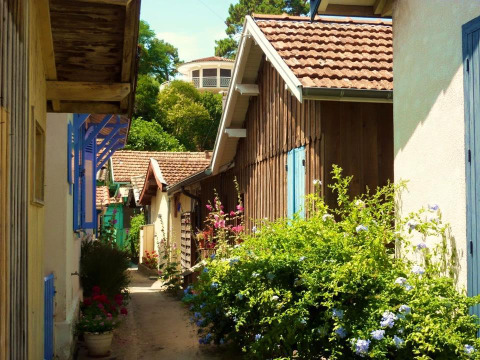 Ruelle pittoresque bordée de maisons colorées et de fleurs à Arès, en Nouvelle-Aquitaine, France.