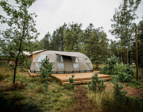 Moderne glampingtelt på en træterrasse omgivet af skov ved Holiday Park Mölke i Overijssel, Holland.