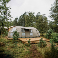 Modern glampingtent op een houten vlonder omgeven door bos in Holiday Park Mölke, Overijssel, Nederland.