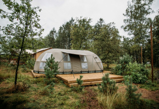Modern glampingtent op een houten vlonder omgeven door bos in Holiday Park Mölke, Overijssel, Nederland.