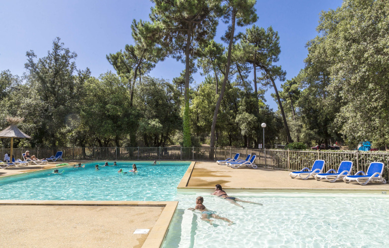 Piscine extérieure avec transats et vacanciers au Flower Camping Monplaisir, entouré d’arbres en Nouvelle-Aquitaine.