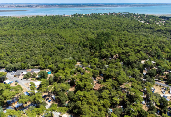 Luftfoto over Flower Camping Monplaisir i Nouvelle-Aquitaine, Frankrig, omgivet af skov og tæt på havet.