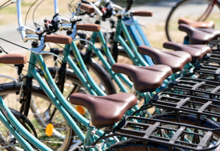 Række turkise cykler med brune sadler parkeret på Flower Camping Monplaisir i Nouvelle-Aquitaine, Frankrig.