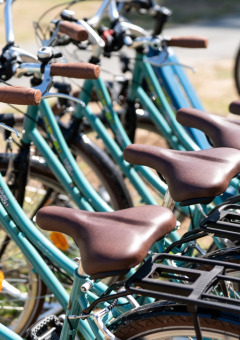 Fila de bicicletas turquesa con sillines marrones en Flower Camping Monplaisir, Nouvelle-Aquitaine, Francia.