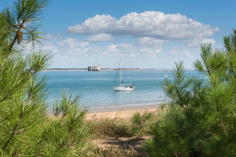 Vue sur un voilier en mer, entouré de pins, à Flower Camping Monplaisir, Nouvelle-Aquitaine, France.