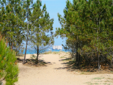 Weg durch Kiefern zur Küste mit Blick auf das Meer und ein Fort in der Ferne bei Flower Camping Monplaisir.
