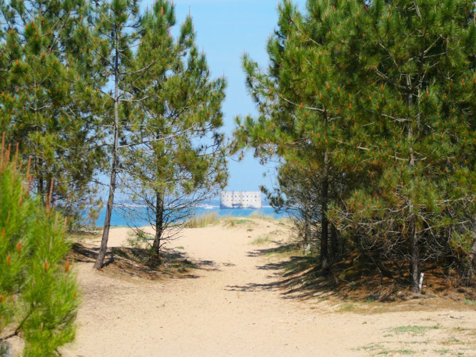 Path through pine trees leading to a sandy beach, with the sea and a distant fort at Flower Camping Monplaisir.