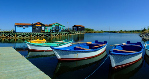 Colorful rowboats moored at a wooden dock with vibrant cabins at Flower Camping Monplaisir, Nouvelle-Aquitaine.