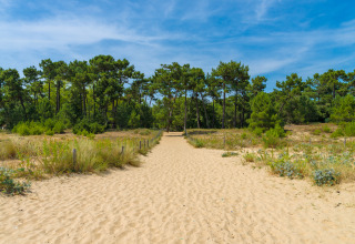 Sendero arenoso entre dunas y pinos en Flower Camping Monplaisir, Nouvelle-Aquitania, Francia.