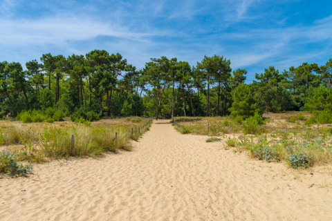 Zandweg door duinen en dennenbomen bij Flower Camping Monplaisir in Nouvelle-Aquitaine, Frankrijk.