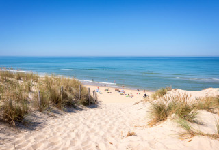 Sandy beach and dunes near Saint-Trojan-les-Bains, Oléron, Nouvelle-Aquitaine, France, on a sunny day.