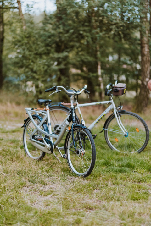 Twee fietsen staan geparkeerd op het gras in de natuur, een hoogtepunt van Wilsumer Berge vakantiepark.