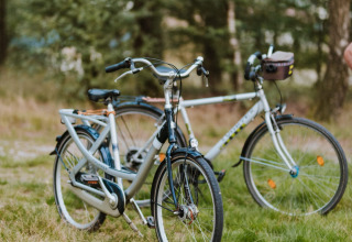 Twee fietsen staan geparkeerd op het gras in de natuur, een hoogtepunt van Wilsumer Berge vakantiepark.