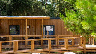 Ansicht der Premium Stacaravan PRM mit zwei Schlafzimmern, Holzterrasse und umgeben von Bäumen.