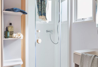 Baño de cabaña moderno y luminoso, con ducha de cristal, estantes, planta verde y detalles en madera.