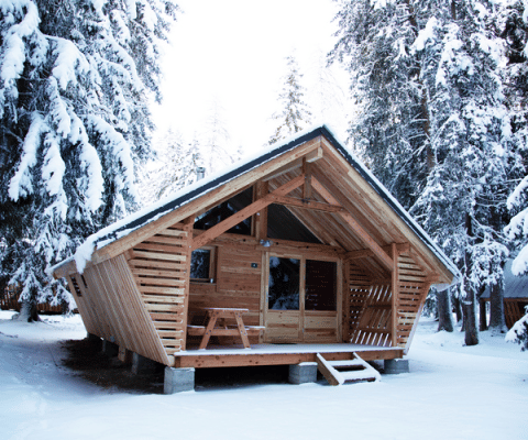 Le Chalet Montana Vista, une cabane en bois entourée d’arbres enneigés dans un paisible décor forestier hivernal.