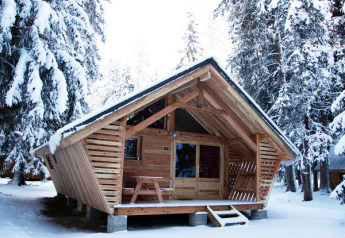 Chalet Montana Vista houten blokhut tussen besneeuwde bomen in een rustig, winters boslandschap.