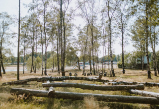 Natuurlijke speeltuin met boomstammen en banden in vakantiepark Wilsumer Berge, Duitsland, omgeven door bomen.