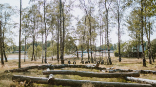 Parco giochi naturale - Wilsumer Berge - Wilsum, Bassa Sassonia, Germania