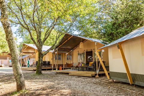 Lodge tenda safari immerse tra gli alberi, sistemazione confortevole all'aperto nella natura.