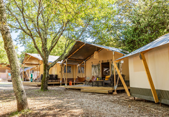Spacious safari tent lodges surrounded by trees, offering comfortable outdoor accommodation in nature.