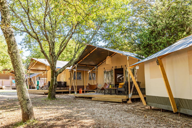 Spacious safari tent lodges surrounded by trees, offering comfortable outdoor accommodation in nature.