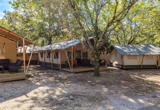 Tente safari Lodge au Camping Cikat en Croatie, entourée d’arbres et d’espaces détente extérieurs.