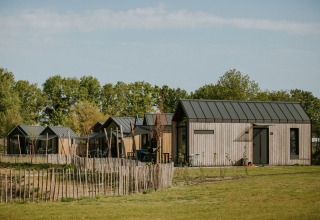 En række små træhytter på Camping Si-Es-An i Holland, omgivet af grønt græs og træer.