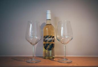 Eine Flasche Weißwein mit zwei Weingläsern auf einem Regal in einem Tiny House namens The Nutshell in den Niederlanden.