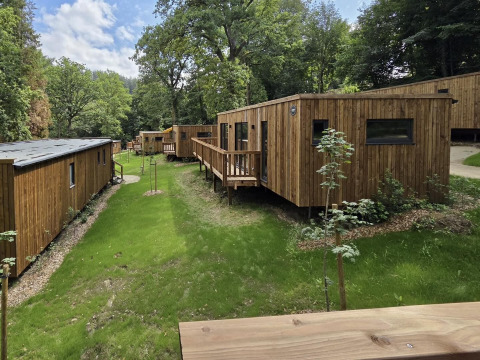 Billede af moderne trælodges omgivet af grønne træer og græs i et fredeligt skovområde, solrigt vejr.