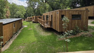 Photo de chalets modernes en bois entourés d'arbres et d'herbe dans un cadre forestier paisible et ensoleillé.