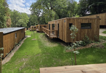 Photo de chalets modernes en bois entourés d'arbres et d'herbe dans un cadre forestier paisible et ensoleillé.