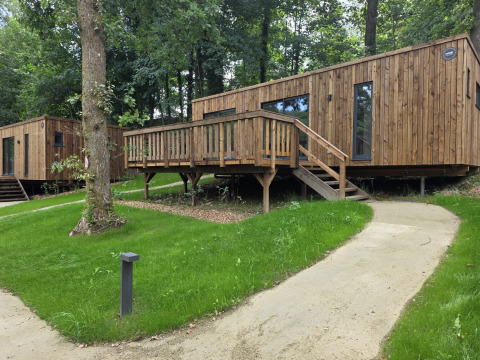 Modern wooden lodges on stilts with deck terraces, nestled in a lush green forest with winding paths.