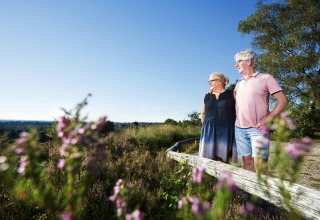 Couple, view, hiking - Buitenplaats Holten - Rijssen, Overijssel, Netherlands