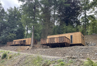 To moderne træhytter på en skråning i en skov, perfekte til et fredeligt ophold tæt på naturen.
