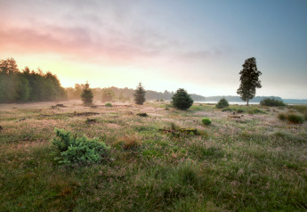 Paysage au lever du soleil depuis un hébergement glamping, avec prairies, arbres et ciel coloré.