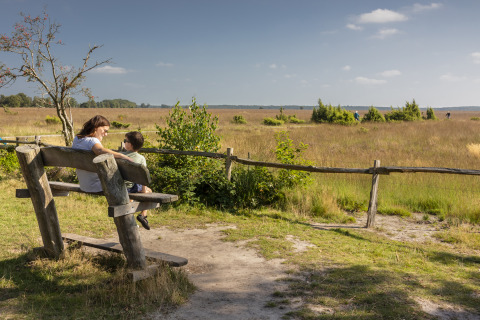Une mère et son fils assis sur un banc en bois profitent de la vue à un hébergement glamping ensoleillé.