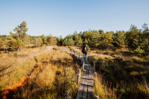 Persona caminando por pasarela de madera entre hierbas y árboles junto a alojamiento glamping soleado.