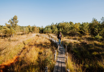 Person walking on a wooden boardwalk through grassy landscape near glamping accommodation in sunlight.