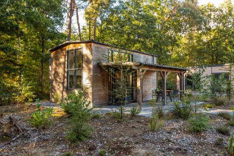 Kleines Holzhaus namens Tiny Borg im Grünen, gelegen im Vakantiepark De Wiltzangh in den Niederlanden.